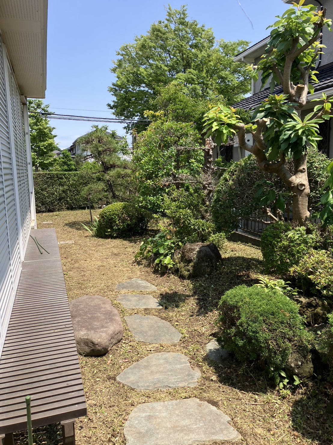 庭木・庭まわり|造園・庭管理